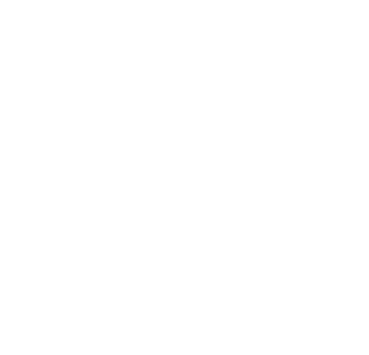 THE iX1