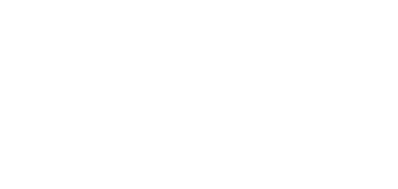 THE X1