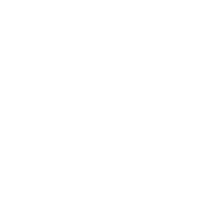 THE iX1