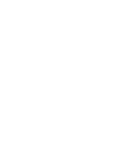 THE X1